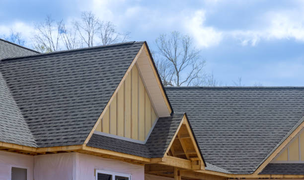 Professional Roofing Services in Boise, ID