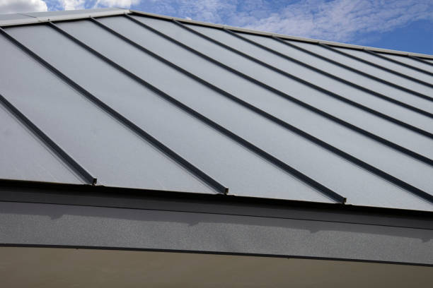 Professional Roofing Services in Boise, ID